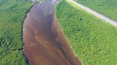 Rio Preto 'nun Pantanal nehri, Itanhaem, Sao Paulo, Brezilya manzarası. Rio Preto 'daki egzotik manzara, Itahaem' deki karanlık nehir, Sao Paulo, Brezilya. Nehir manzaralı. Pantanal Orman Koruma, Rio Preto sahnesi. Itanhaem 'de pantanal manzara, Sao Paulo, Brezilya.