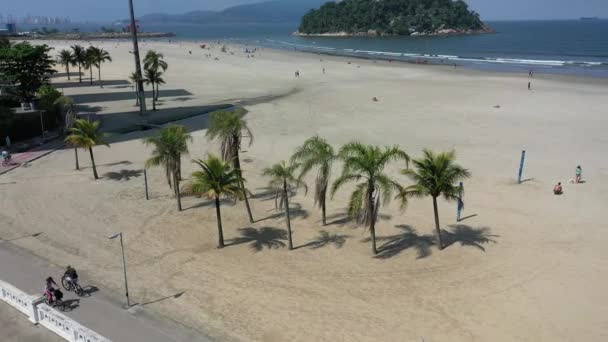 サントス サンパウロ ブラジルのビーチフロントのヤシの木のシーン ヤシの木の眺め ブラジルのサンパウロ サントス 沿岸都市の眺め ビーチフロントビュー ヤシの木の夏のシーン 夏の日にビーチフロントのシーン — ストック動画