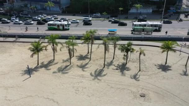 Palmbomen Scene Aan Het Strand Van Santos Sao Paulo Brazilië — Stockvideo