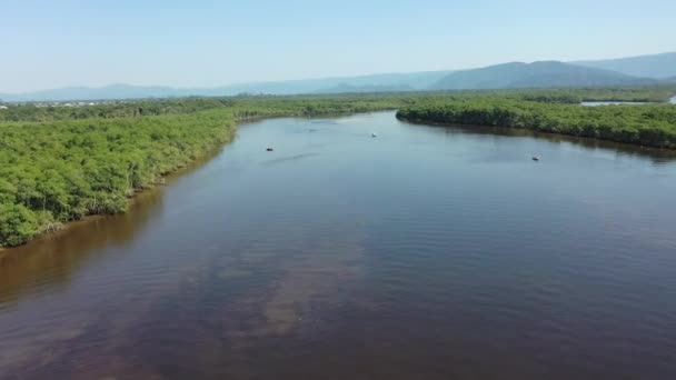 Τοπίο Του Ρίο Πρέτο Στον Ποταμό Pantanal Itanhaem Σάο Πάολο — Αρχείο Βίντεο