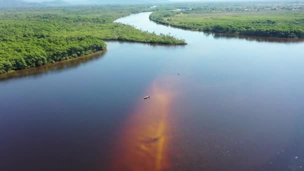 Landscape Rio Preto Pantanal River Itanhaem Sao Paulo Brazil Exotic — Stock Video