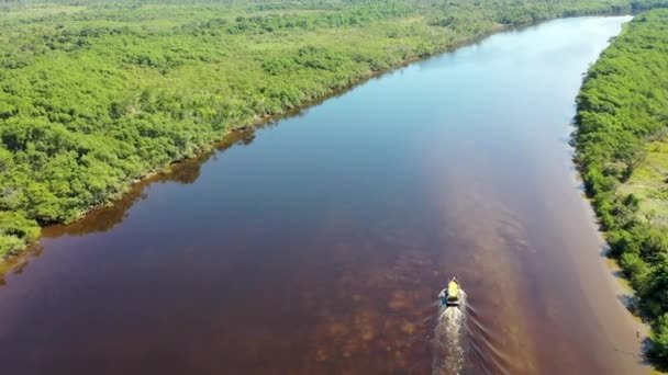 Rio Preto Tájképe Pantanal Folyóban Itanhaem Sao Paulo Brazília Egzotikus — Stock videók