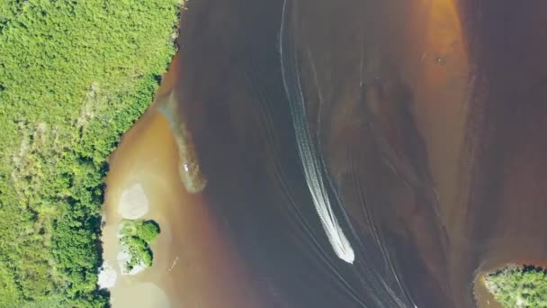 パンタナール川のリオ プレトの風景 Itanhaem サンパウロ ブラジル プリト ブラジルのサンパウロ州イータヘムの暗い川でのエキゾチックなシーン 川の眺め パンタナール森林保全リオ プレトのシーン — ストック動画