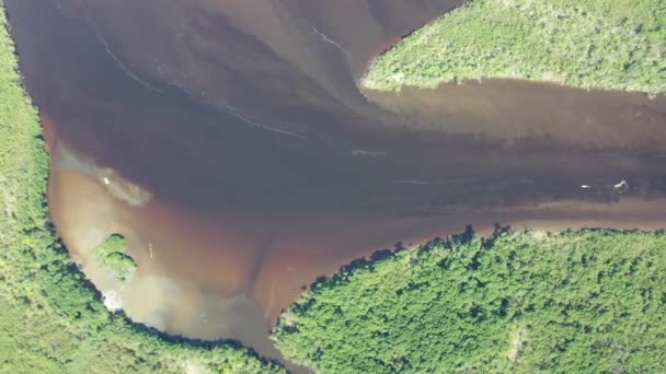 Landschaft Von Rio Preto Fluss Pantanal Itanhaem Sao Paulo Brasilien — Stockvideo