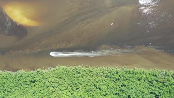 Paisaje Río Preto Río Pantanal Itanhaem Sao Paulo Brasil Escena — Vídeos de Stock