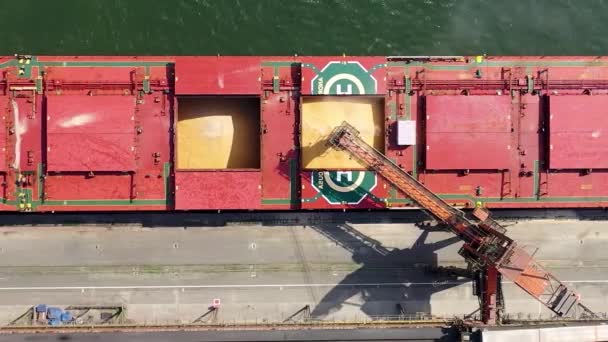 Vista Aérea Del Buque Carga Fábrica Portuaria Muelles Vista Del — Vídeo de stock