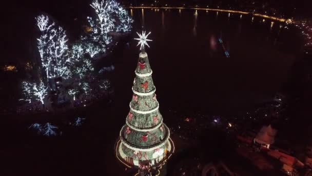 Widok Choinkę Nocy Ibirapuera Park Sao Paulo Brazylia Święto Świętego — Wideo stockowe
