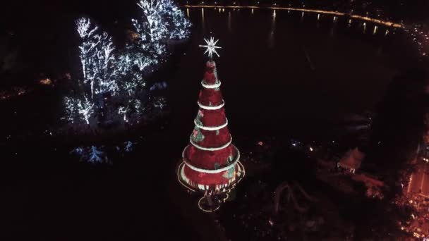 Рождественская Ёлка Ночью Парке Ибирапуэра Сан Паулу Бразилия Празднование Санта — стоковое видео