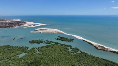 Barra Grande, Brezilya 'da, Cajueiro Da Praia' da. Plaj manzarası. Doğa Deniz Burnu. Tatil Tatilleri. Barra Grande, Brezilya 'da, Cajueiro Da Praia' da. Yaz Seyahati.