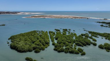 Barra Grande, Brezilya 'da, Cajueiro Da Praia' da. Plaj manzarası. Doğa Deniz Burnu. Tatil Tatilleri. Barra Grande, Brezilya 'da, Cajueiro Da Praia' da. Yaz Seyahati.