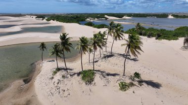 Maranhao Brezilya 'daki Tutoia' da küçük çarşaflar. Doğa manzarası. Kıvrımlı kum tepeleri. Tutoia 'da küçük çarşaflar. Yağmur suyu gölleri. Güzel Yüksek Kumullar. Yaz Gezisi. Brezilya Kuzeydoğu.