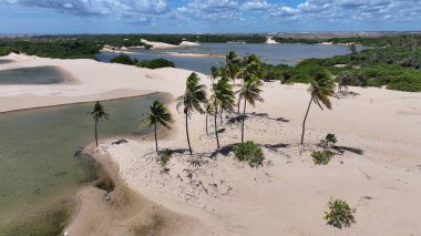 Maranhao Brezilya 'daki Tutoia' da küçük çarşaflar. Doğa manzarası. Kıvrımlı kum tepeleri. Tutoia 'da küçük çarşaflar. Yağmur suyu gölleri. Güzel Yüksek Kumullar. Yaz Gezisi. Brezilya Kuzeydoğu.