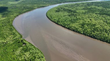 Maranhao Brezilya 'daki Tutoia' da Parnaiba Delta. Doğa Manzarası. Amerika 'nın Brezilya Deltası. Maranhao 'daki Parnaiba Delta. Sarmal Nehir. Plaj manzarası. Tatil seyahatleri. Brezilya Kuzeydoğu.
