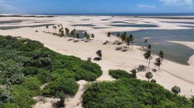 Lencois Maranhenses Tutoia, Brezilya 'da. Doğa Küçük Çarşafları. Manzaralı Palmiye Ağaçları. Lencois Maranhenses Tutoia 'da. Kıvrımlı kum tepeleri. Yağmur suyu gölleri. Tropik seyahat. Brezilya Kuzeydoğu.