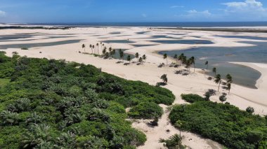 Maranhao Brezilya 'daki Tutoia' da küçük çarşaflar. Doğa manzarası. Kıvrımlı kum tepeleri. Tutoia 'da küçük çarşaflar. Yağmur suyu gölleri. Güzel Yüksek Kumullar. Yaz Gezisi. Brezilya Kuzeydoğu.