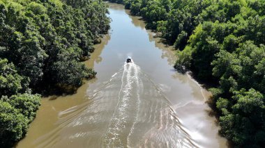 Maranhao Brezilya 'daki Tutoia' da Parnaiba Delta. Doğa Manzarası. Amerika 'nın Brezilya Deltası. Maranhao 'daki Parnaiba Delta. Sarmal Nehir. Plaj manzarası. Tatil seyahatleri. Brezilya Kuzeydoğu.