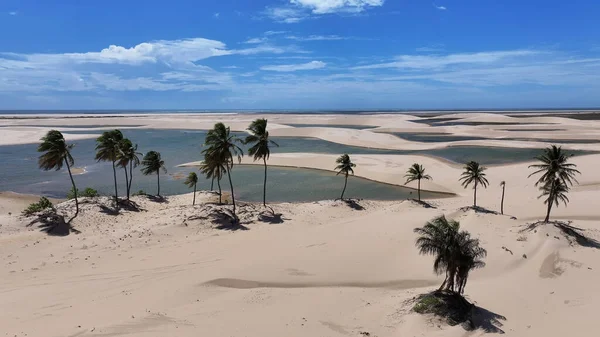 Small Sheets At Tutoia In Maranhao Brazil. Freshwater Lakes Landscape. Sand Dunes Mountains. Small Sheets At Tutoia. Tourism Travel. Nature Scene. Beach Background. Brazil Northeast.
