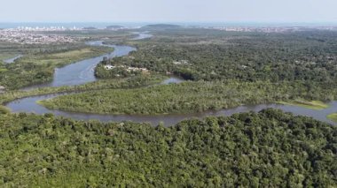 Itanhaem Skyline Sao Paulo Brezilya 'daki Itanhaem' de. Doğa Riverside. Bataklık Ormanı. Seyahat güzergahı. Itanhaem Skyline Sao Paulo Brezilya 'daki Itanhaem' de. Yeşil Vadi Sahası.