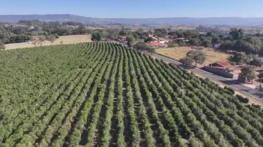 Sao Benedito Das Areias Skyline Sao Paulo Brezilya 'daki Mococa' da. Kırsal Şehir. Kırsal Şehir manzarası. Sao Benedito Das Areias Skyline Sao Paulo Brezilya 'daki Mococa' da. Tarım Alanı. Açık Hava Sahnesi.