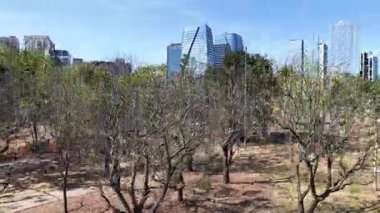 Brezilya 'daki Sao Paulo' daki şirket ofisleri. Eğlence Parkı Peyzajı. Şehir merkezi sahnesi. Highrise Binaları. Brezilya 'daki Sao Paulo' daki şirket ofisleri. Finans Bölgesi. Sao Paulo Brezilya.