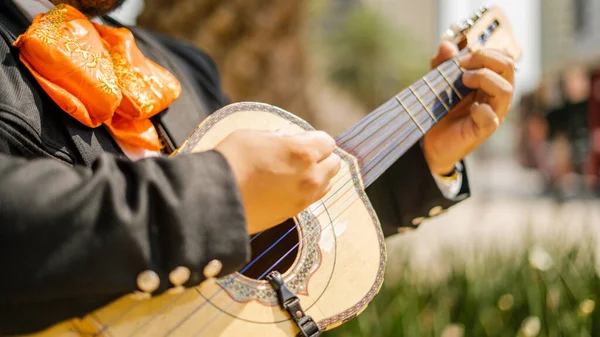 Mexico City 'deki Mariachi Meksikalı Vihuelain çalıyor.