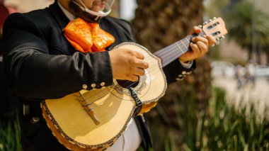 Mariachi arka planda bulanık palmiye ağacıyla Meksikalı Vihuela 'yı oynuyor.