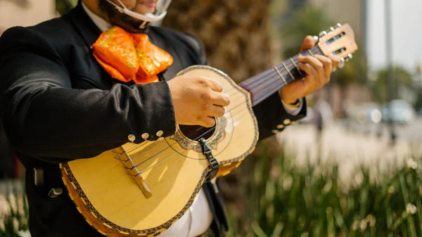 Mariachi arka planda bulanık palmiye ağacıyla Meksikalı Vihuela 'yı oynuyor.