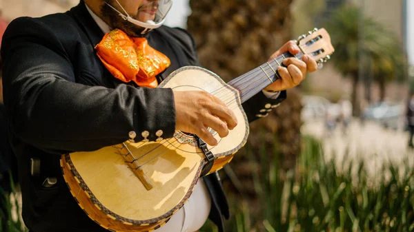 Mariachi arka planda bulanık palmiye ağacıyla Meksikalı Vihuela 'yı oynuyor.