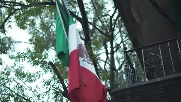 4k Bandera Mexicana moviéndose bajo un árbol grande — Vídeos de Stock