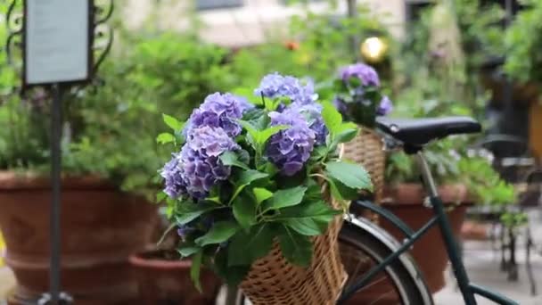 Cestas de flores púrpuras en ambos lados de una bicicleta de carga rodeada de flores y plantas — Vídeo de stock