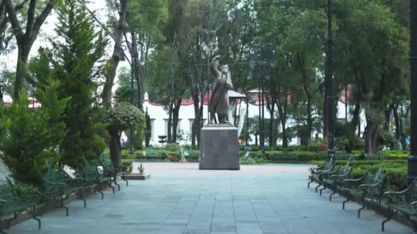 4K Άποψη αγάλματος Περιτριγυρισμένο από δέντρα στη μέση ενός κενός πάρκου — Αρχείο Βίντεο