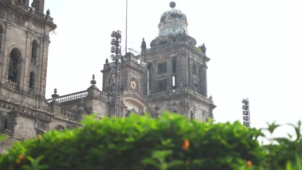 4K-Ansicht der Kathedrale von Mexiko-Stadt direkt hinter einem Baum — Stockvideo