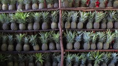 Meksika 'da ananas dolu bir rafa ananas koyan kadının videosu.