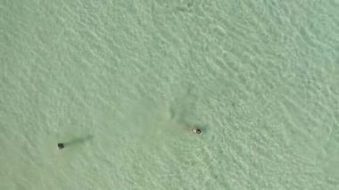 4k Kristal berrak suyla gölün yükselen manzarası