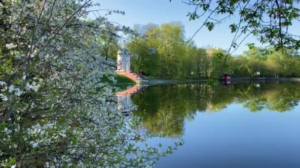 Piękne Jezioro Wiśniowym Drzewem Kwitnącym Nad Brzegiem Wiosenny Dzień Gazebo — Wideo stockowe