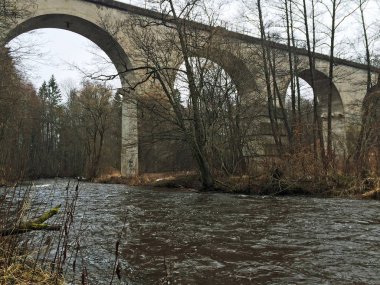 Prusya köprü nehir su kemeri Baltık orman mimarisi
