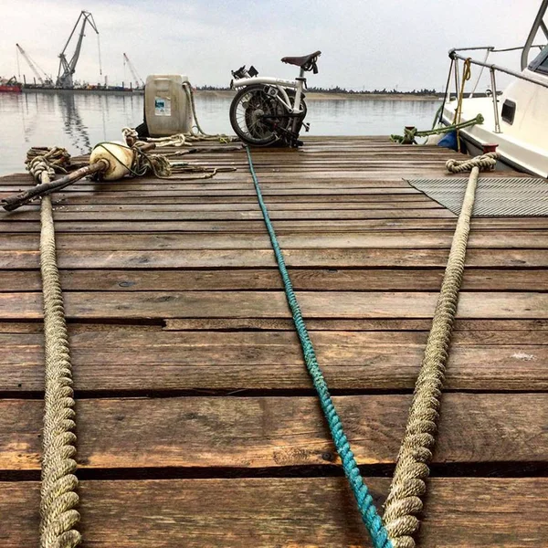 海ビーチ砂木石海岸バルト海の港のカモメ — ストック写真