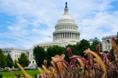 Washington, DC, ABD. 08 18 2018. Bize Capitol bina renkli çim arkasında. Yaz. Gün.