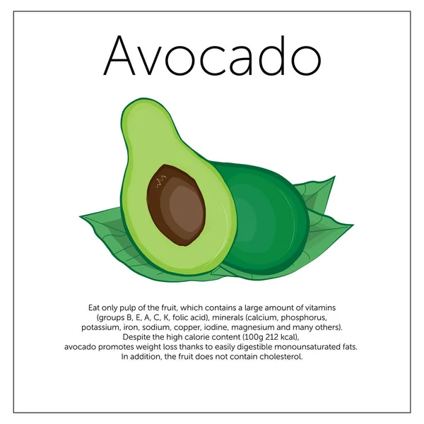 Иллюстрация с изображением зелёного авокадо — стоковый вектор