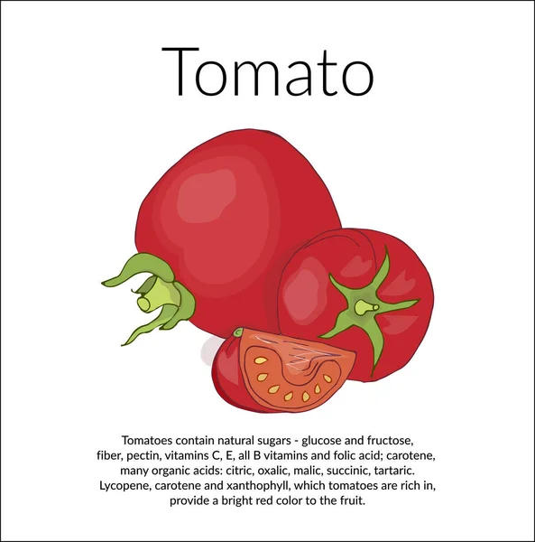 Vintage card with a description of the benefits of tomatoes — стоковый вектор