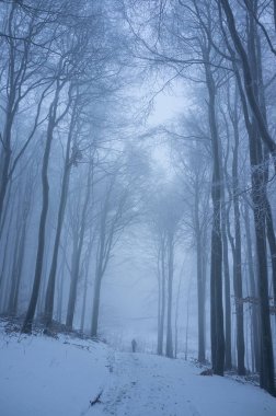 Yalnız uzun yürüyüşe çıkan kimse soğuk kış sabahı küçük Karpat Dağları