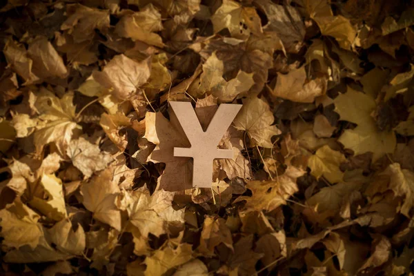 Yen or Yuan Currency Symbol on Autumn Leaves in Late evening Sun