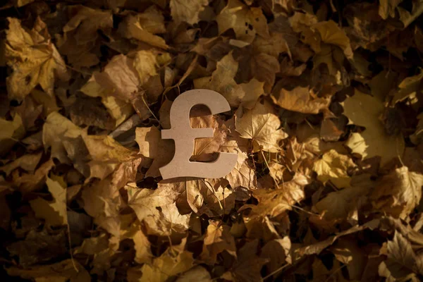 Livre symbole de devise sur les feuilles d'automne en fin de soirée Soleil — Photo