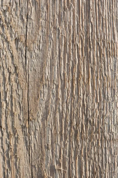 古い木製プランク淡色の太陽のテクスチャ — ストック写真