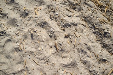 Küçük Kayalar ile Neusiedlersee yakınlarındaki Sandy Lakeside