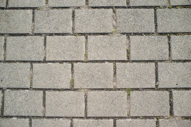 Asfalt Levhalar Çatlaklar ile Büyüyen Weeds