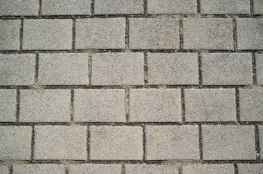 Asfalt Levhalar Çatlaklar ile Büyüyen Weeds