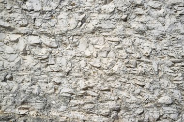 Istria'da Beyaz Taşın Detaylı Dokusu