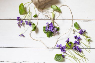 Bir demet Menekşe ahşap beyaz zemin üzerine