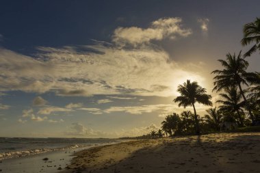 Praia beach yapmak forte, Bahia, Brezilya Palms'ta manzaralı denize güzel gün batımı